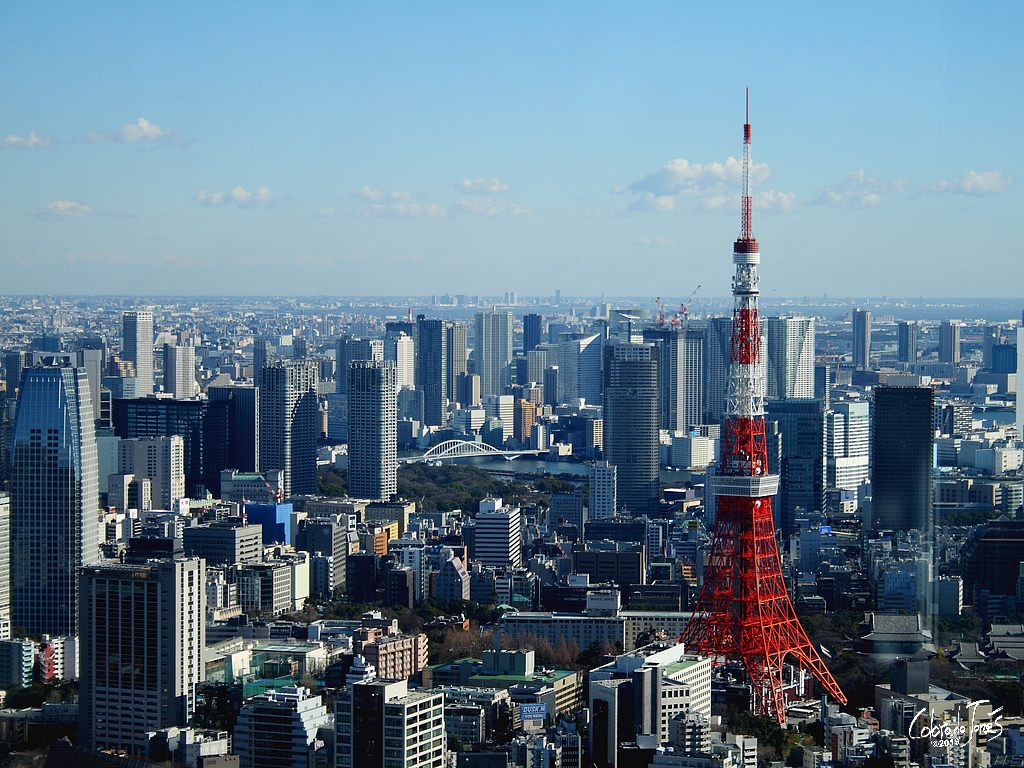 Tokyo Tower taken from the Seaside Top Observatory (before they built a building next door obstructing the view)